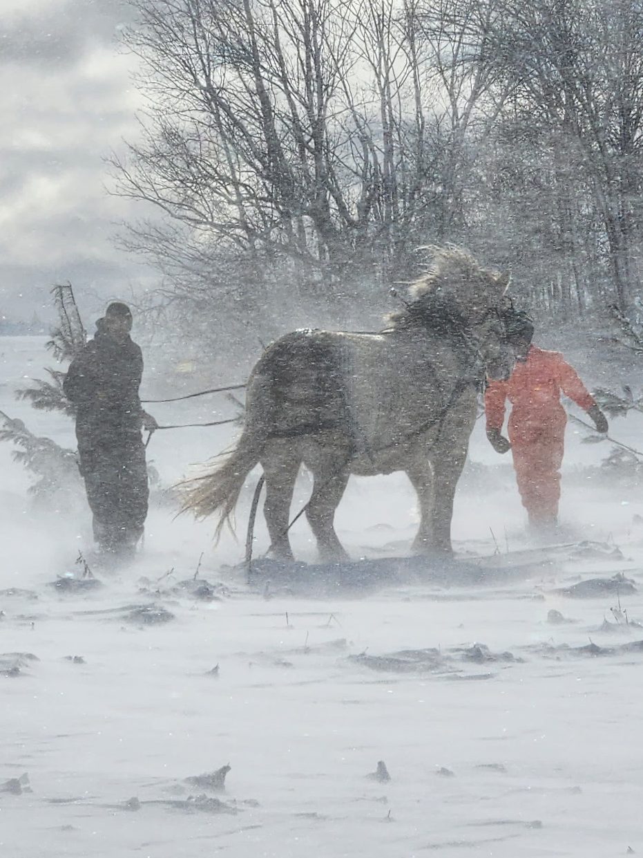 Social Media as It Should Be&nbsp;Done